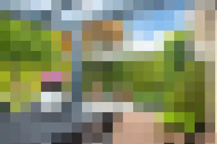Teije Blauwsingel 7 Opeinde thumbnail 46