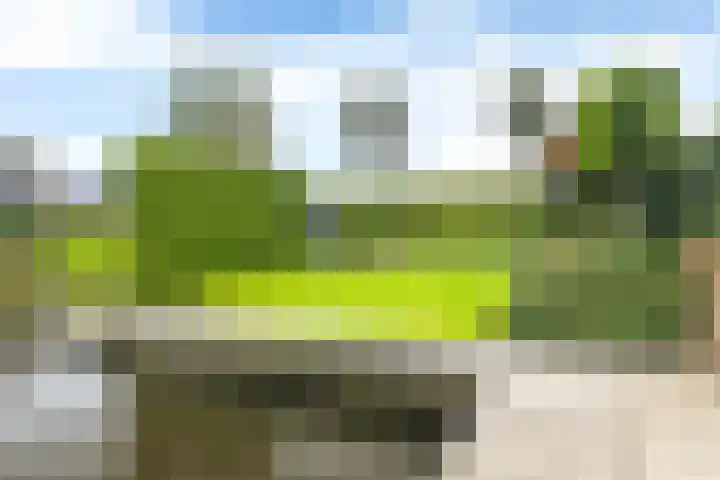 Teije Blauwsingel 7 Opeinde thumbnail 51