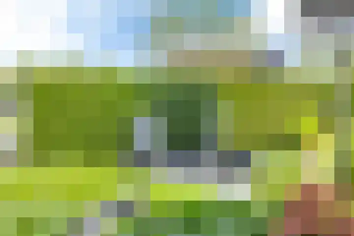 Teije Blauwsingel 7 Opeinde thumbnail 53