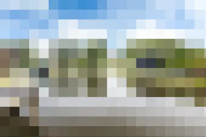 Teije Blauwsingel 7 Opeinde thumbnail 55