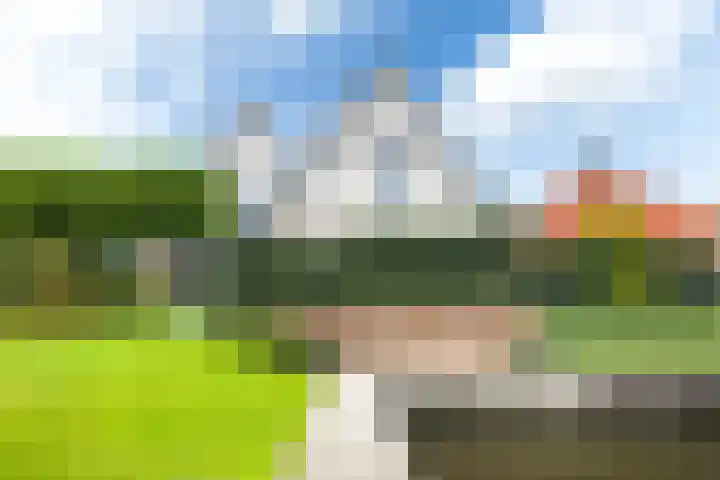 Teije Blauwsingel 7 Opeinde thumbnail 6