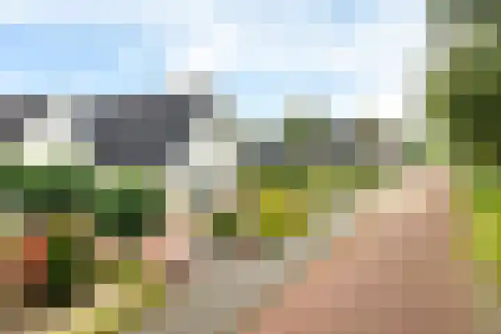 Teije Blauwsingel 7 Opeinde thumbnail 60