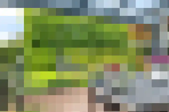 Teije Blauwsingel 7 Opeinde thumbnail 8