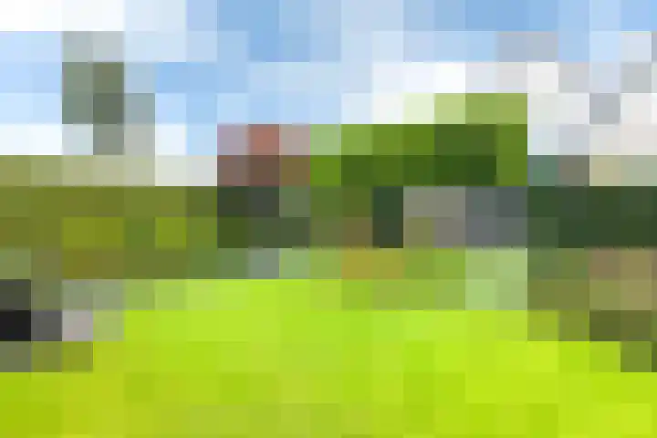 Teije Blauwsingel 7 Opeinde thumbnail 9
