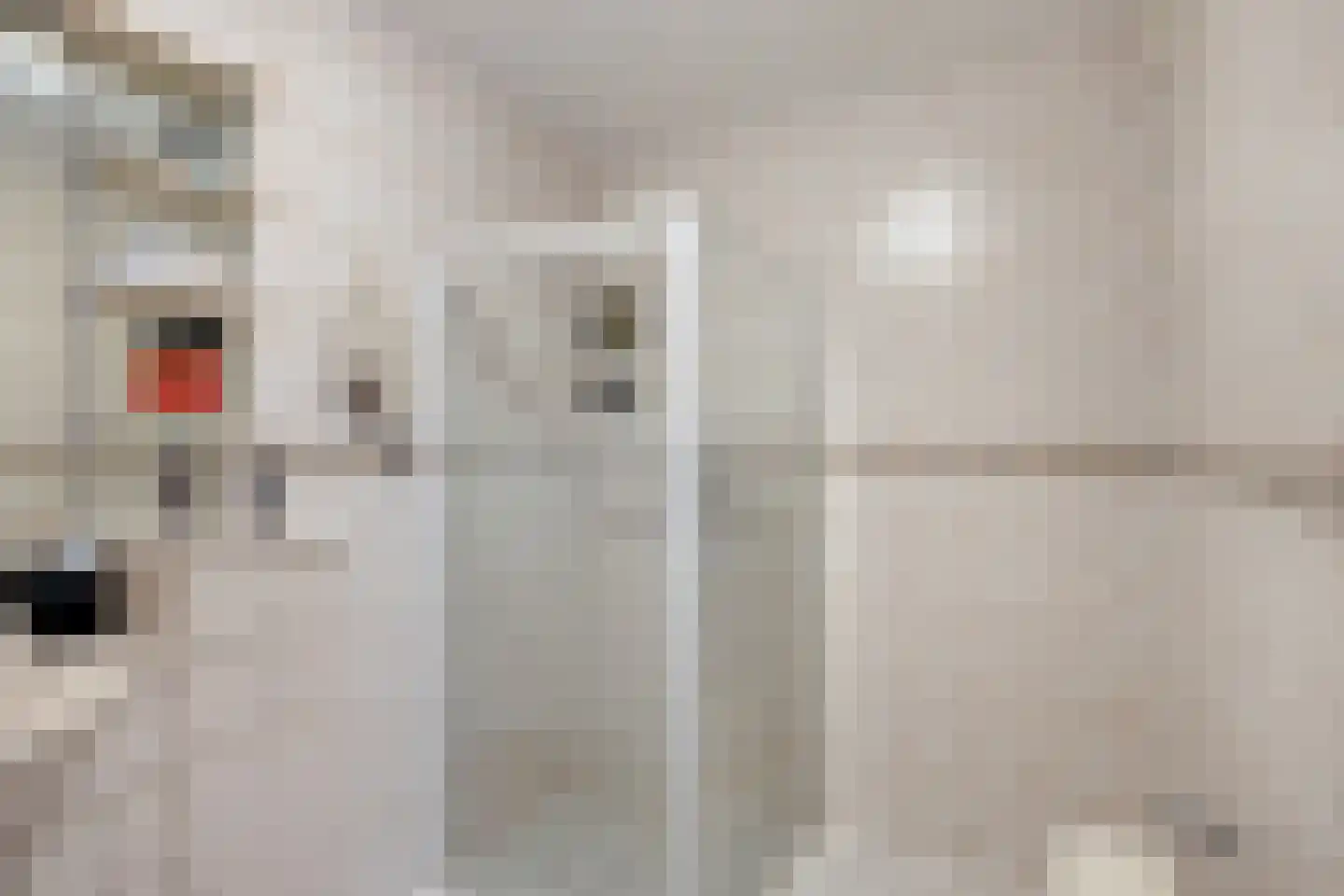 Teijlerstraat 84 Den Haag thumbnail 18