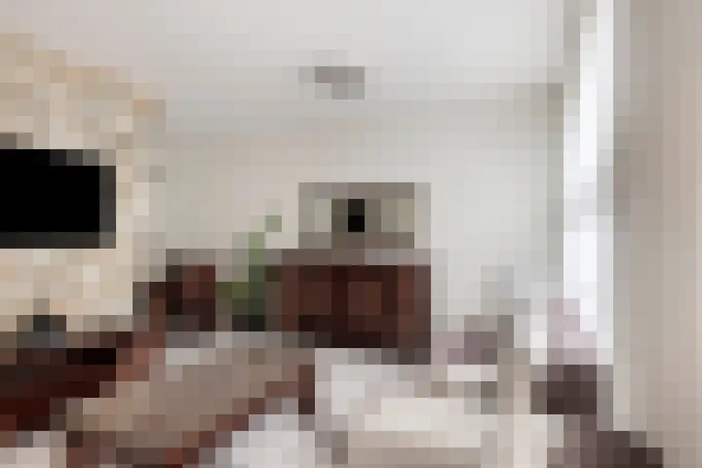 Teijlerstraat 84 Den Haag thumbnail 5