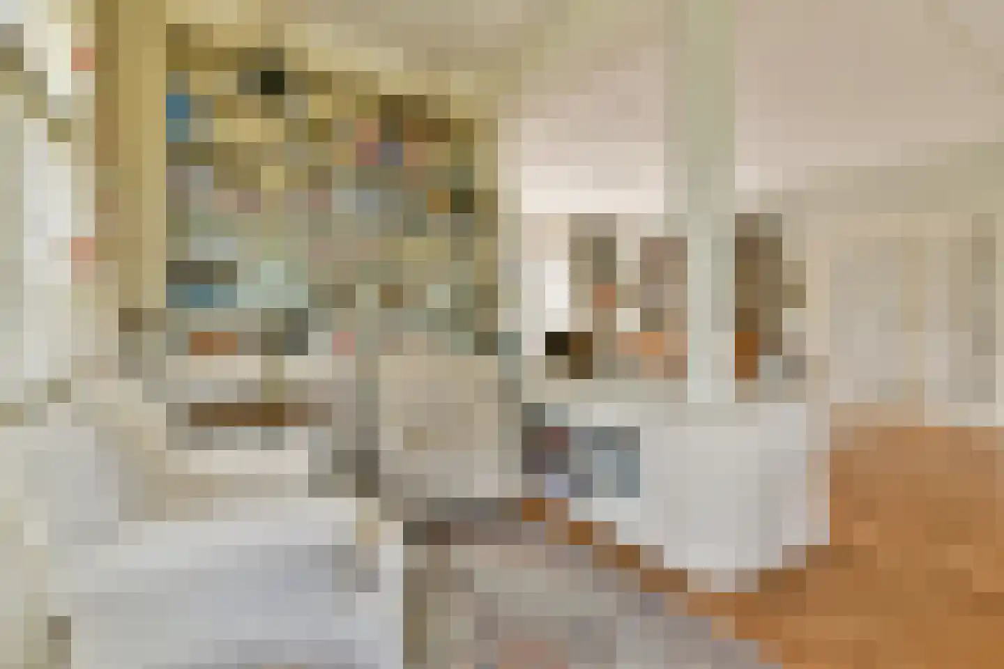 Teijlingerlaan 53 Sassenheim thumbnail 11