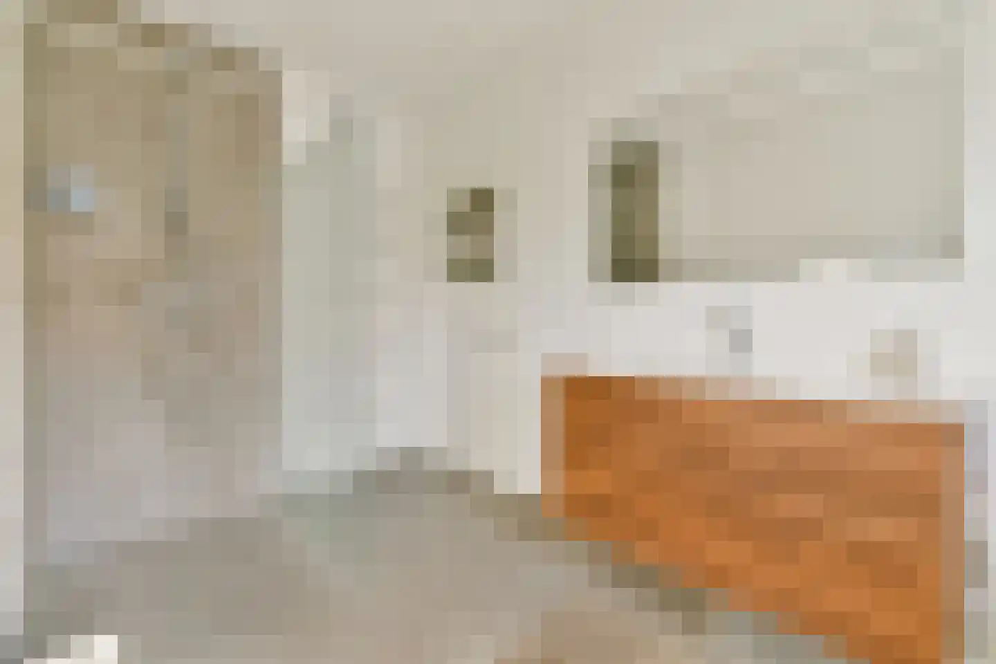 Teijlingerlaan 53 Sassenheim thumbnail 29