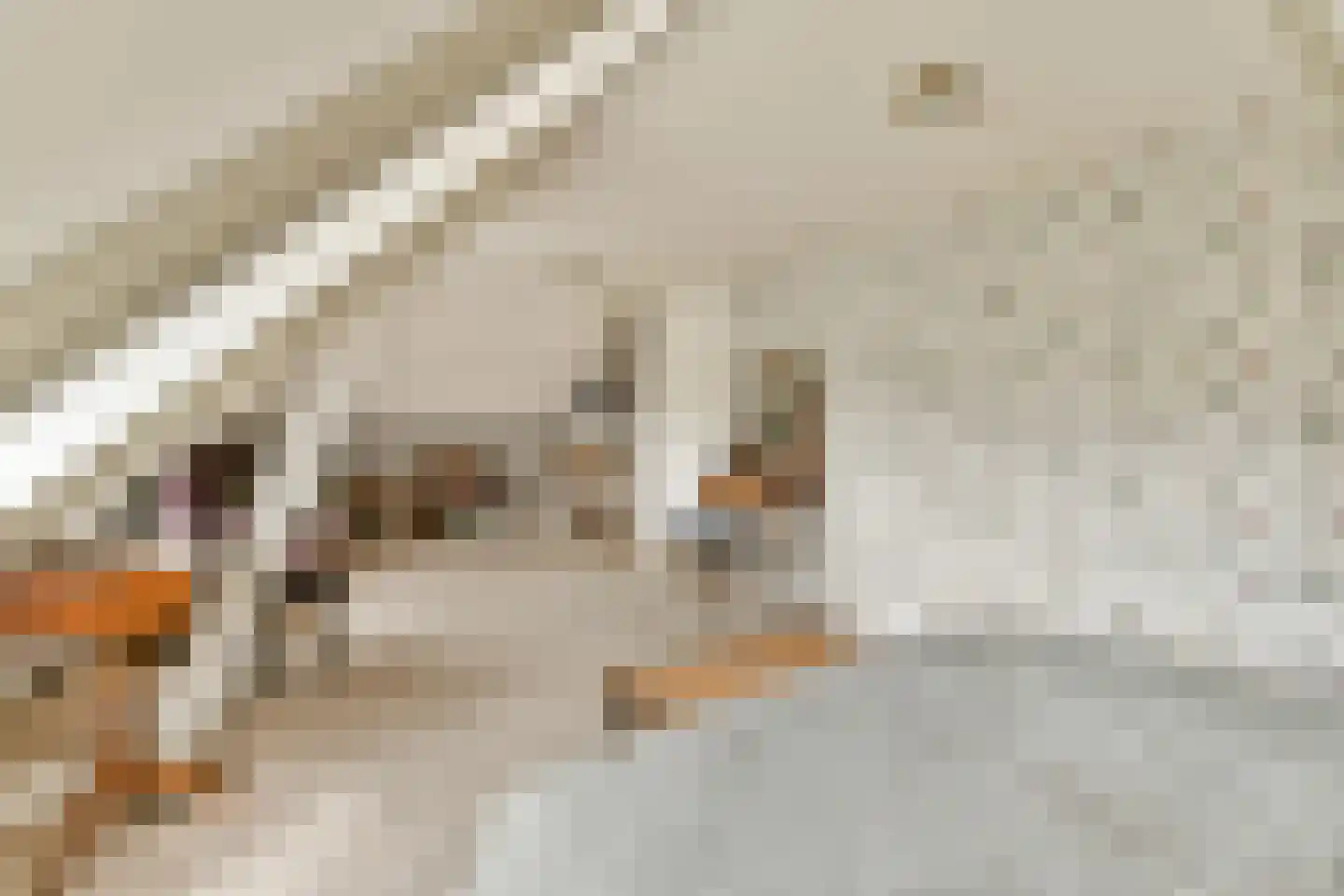 Teijlingerlaan 53 Sassenheim thumbnail 32
