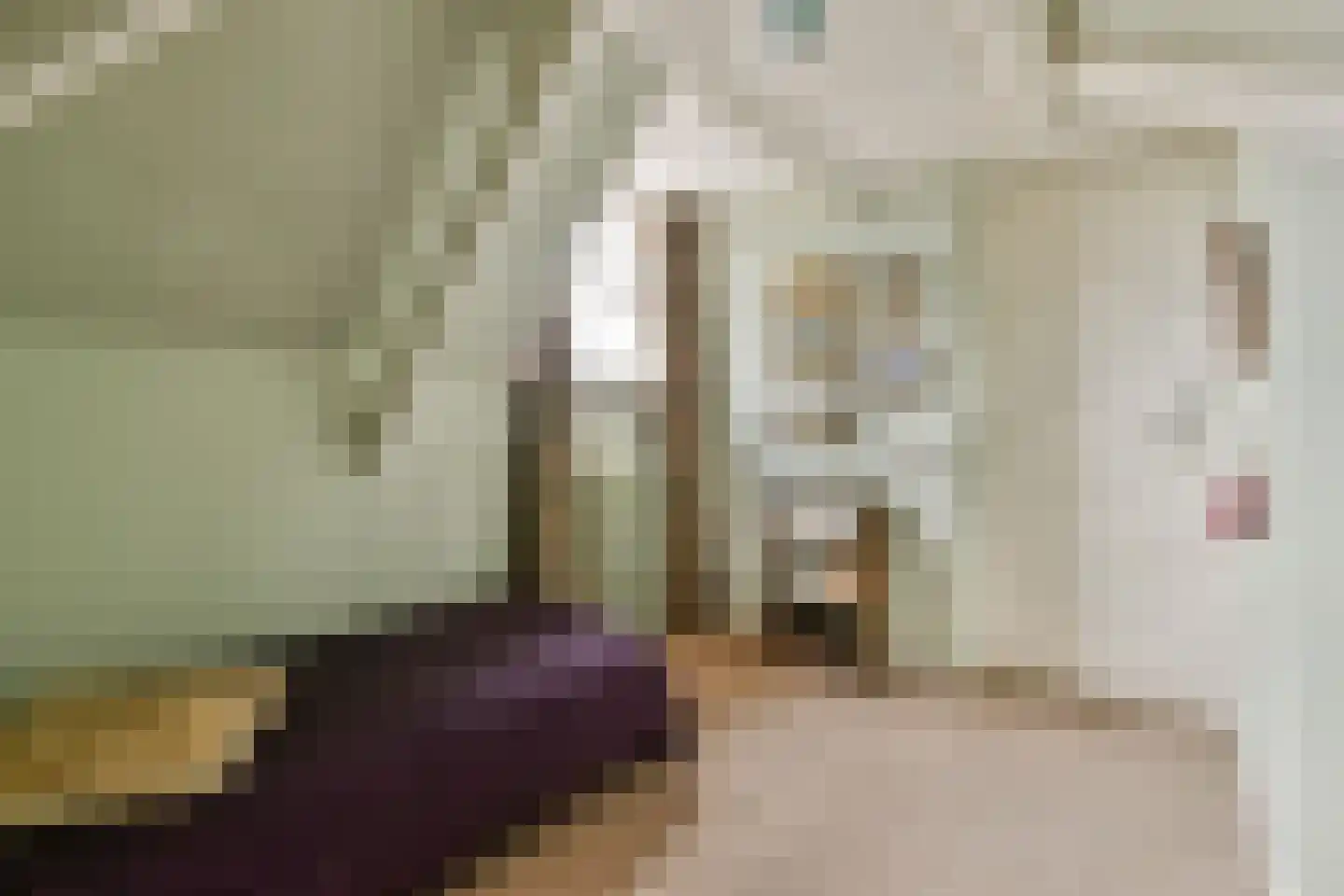 Teijlingerlaan 53 Sassenheim thumbnail 36