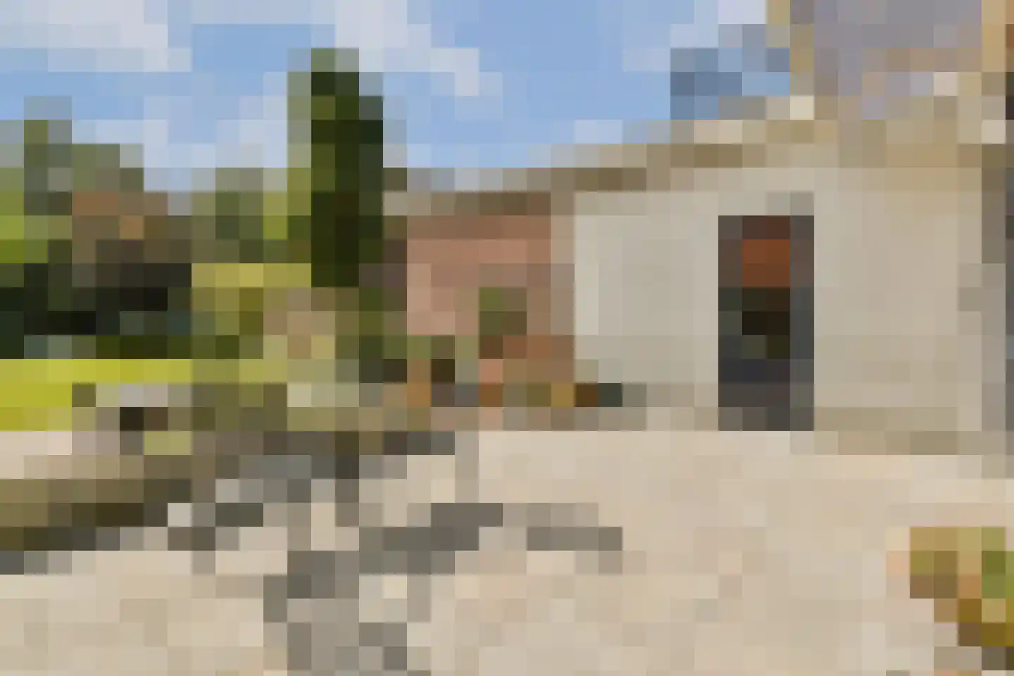 Teijlingerlaan 53 Sassenheim thumbnail 40