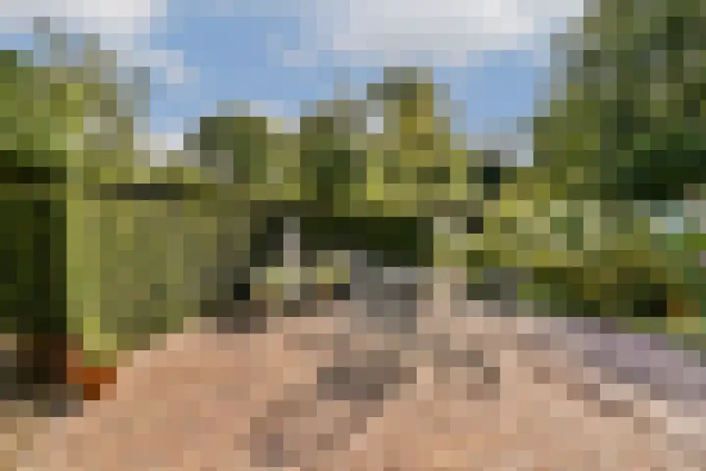 Teijlingerlaan 53 Sassenheim thumbnail 44