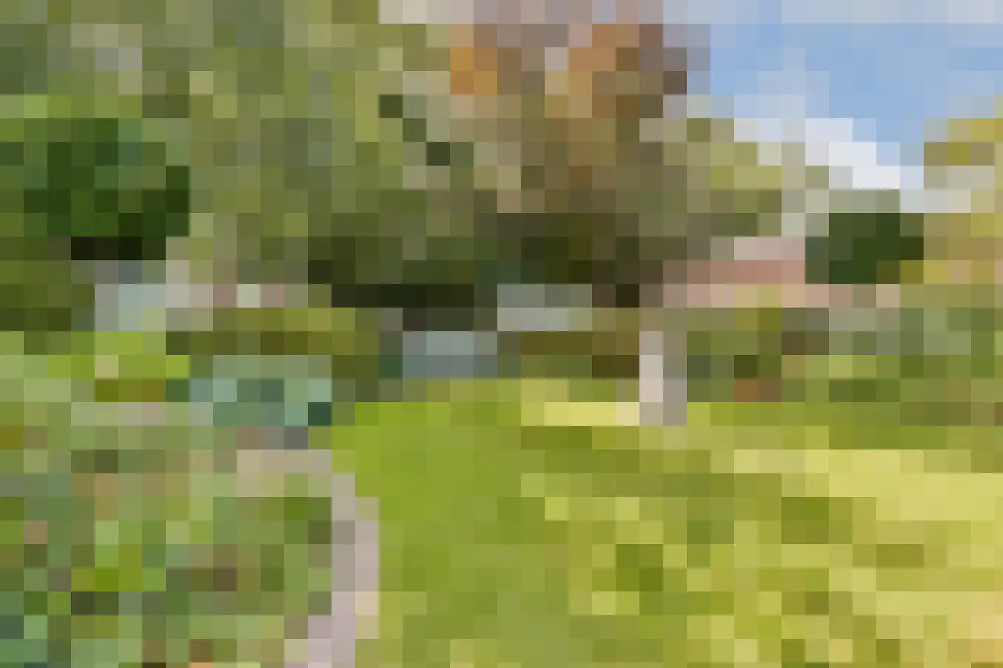 Teijlingerlaan 53 Sassenheim thumbnail 45