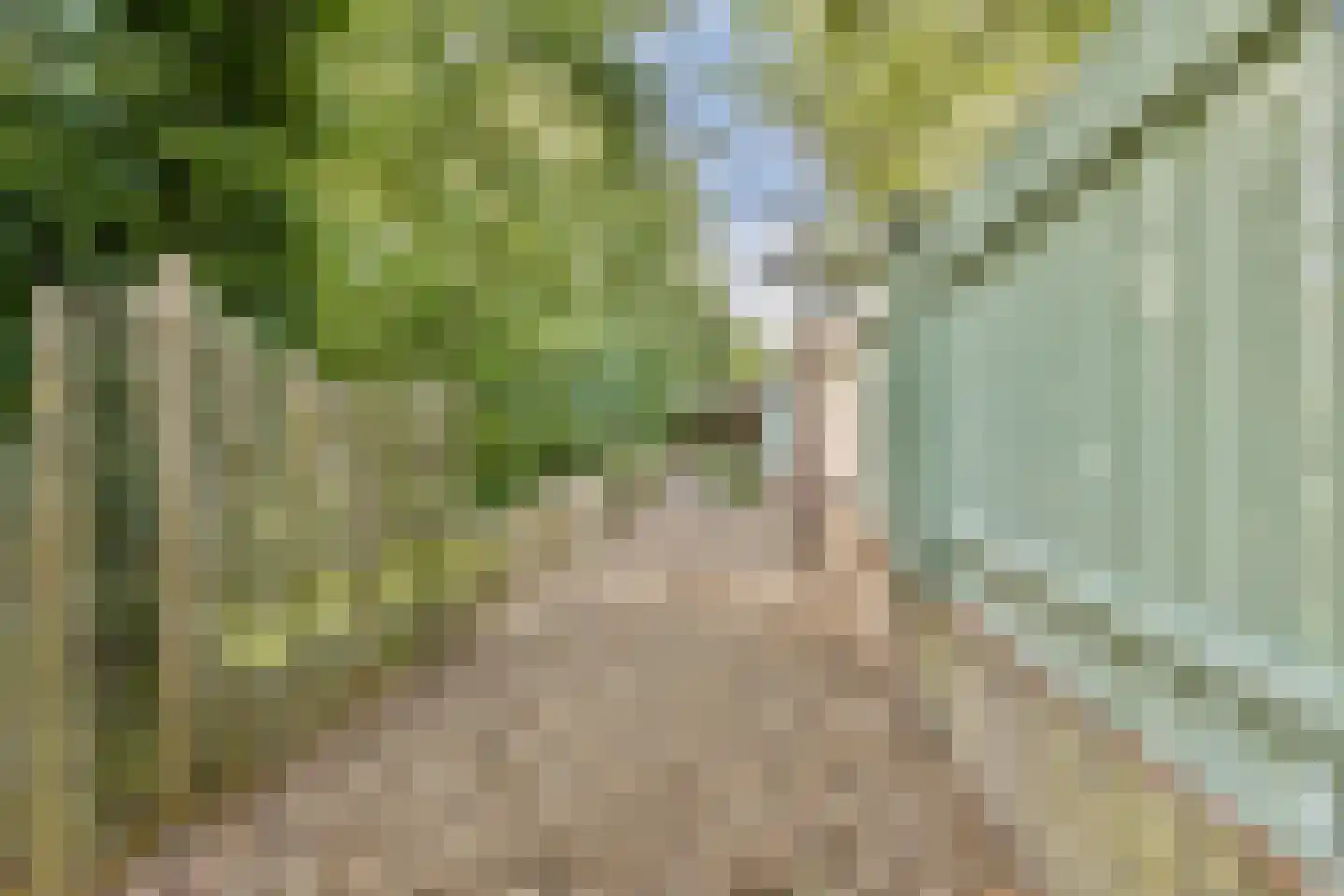 Teijlingerlaan 53 Sassenheim thumbnail 46
