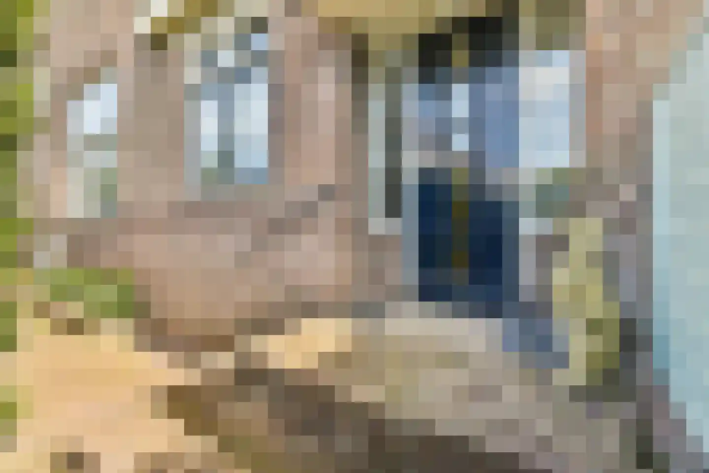 Teijlingerlaan 53 Sassenheim thumbnail 47