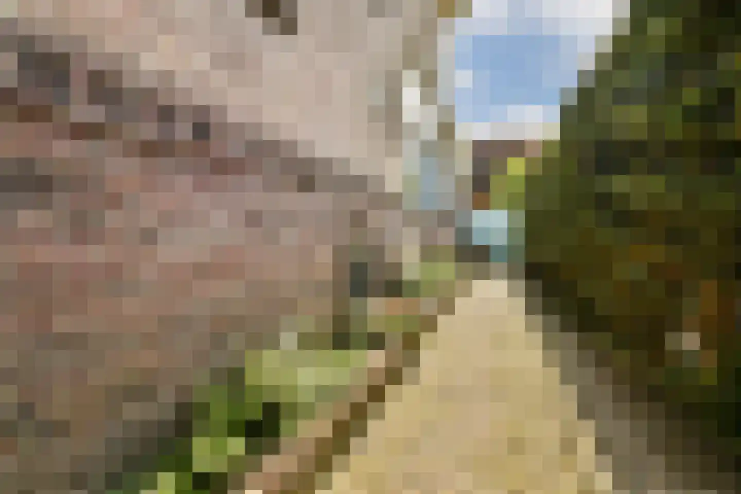 Teijlingerlaan 53 Sassenheim thumbnail 48