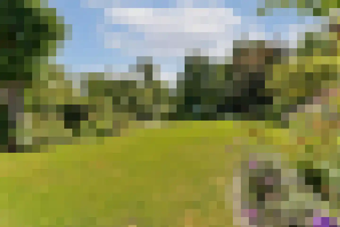 Teijlingerlaan 53 Sassenheim thumbnail 5