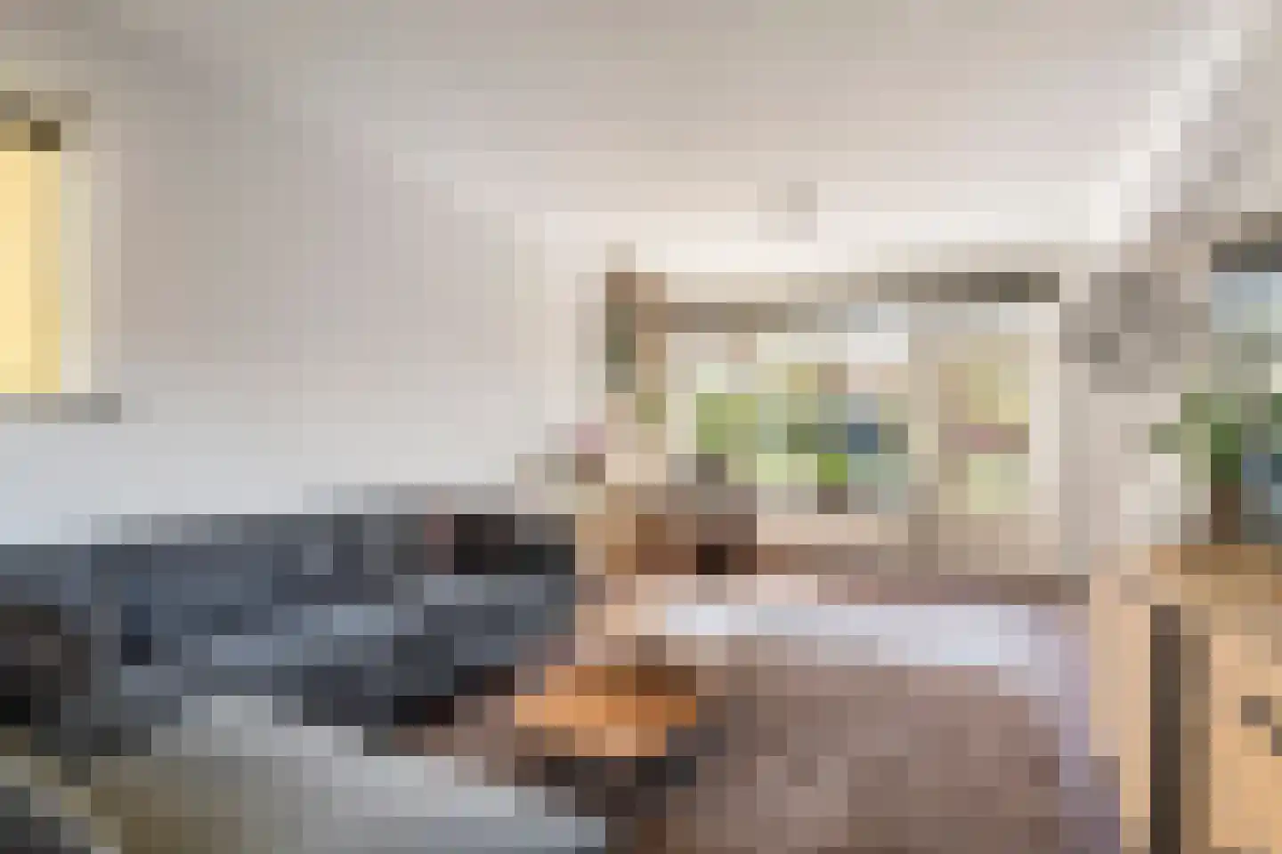 Teijssenstraat 16 Deest thumbnail 11
