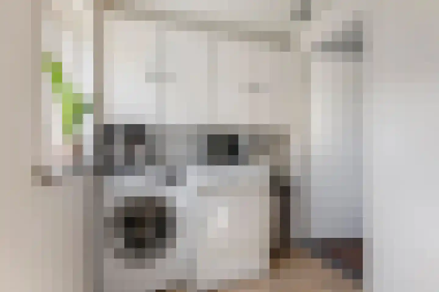 Teijssenstraat 16 Deest thumbnail 13