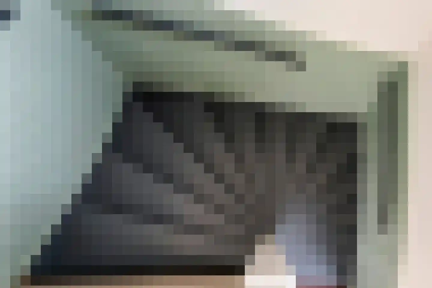 Teijssenstraat 16 Deest thumbnail 17