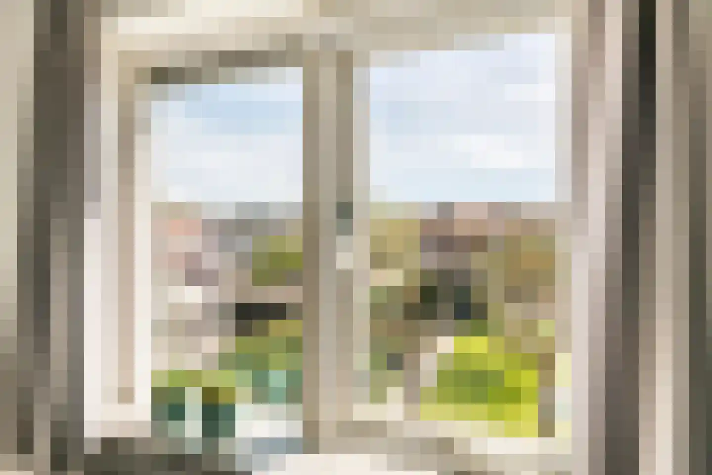 Teijssenstraat 16 Deest thumbnail 20
