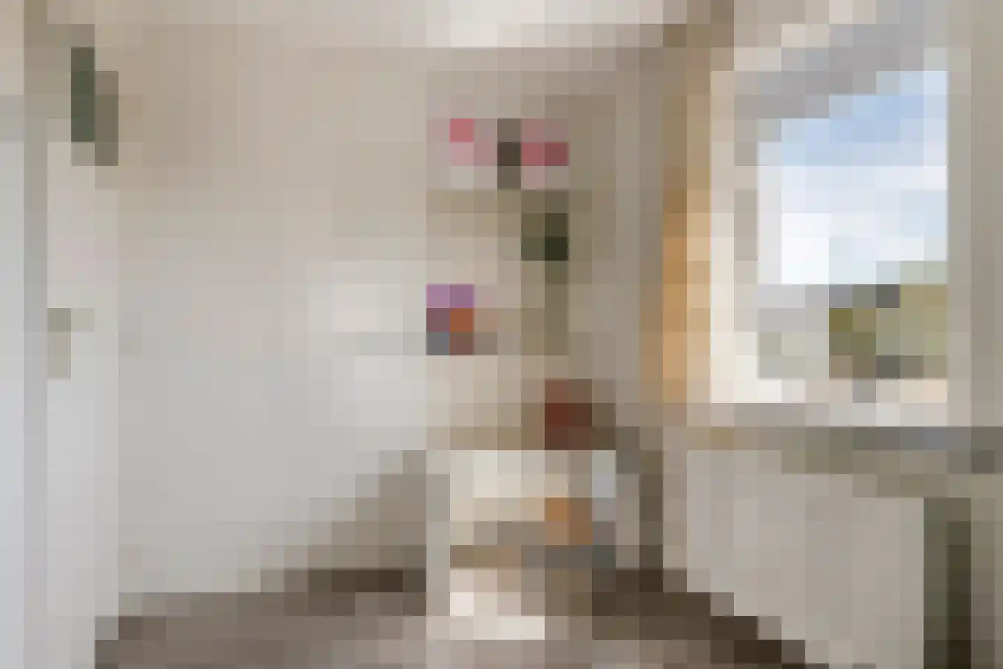 Teijssenstraat 16 Deest thumbnail 25