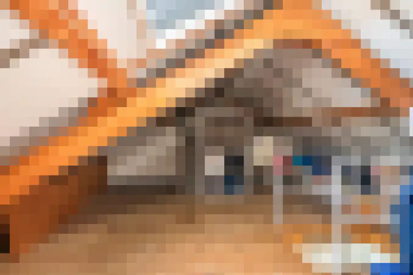 Teijssenstraat 16 Deest thumbnail 26