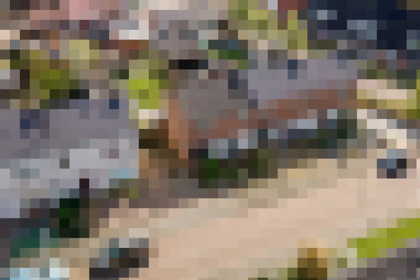 Teijssenstraat 16 Deest thumbnail 35