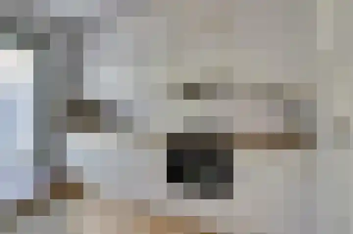 Teilingen 16 Oosterhout thumbnail 17