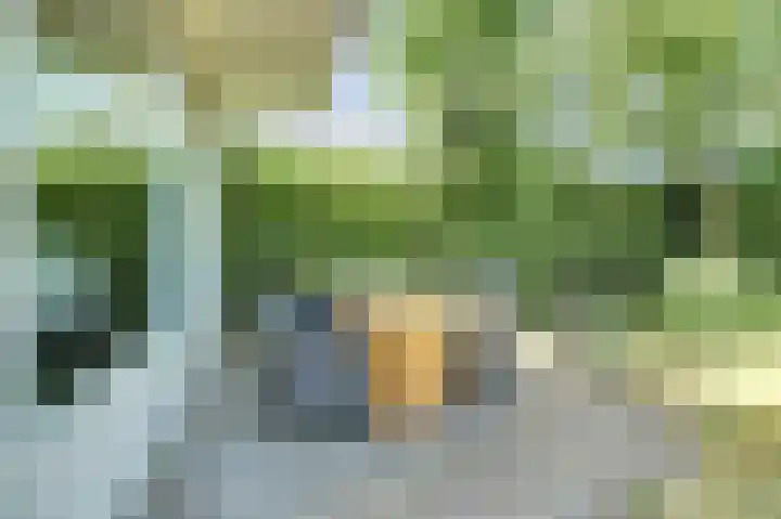 Teilingen 16 Oosterhout thumbnail 31