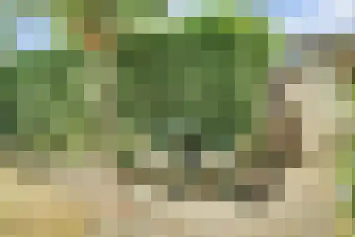 Teilingen 16 Oosterhout thumbnail 32