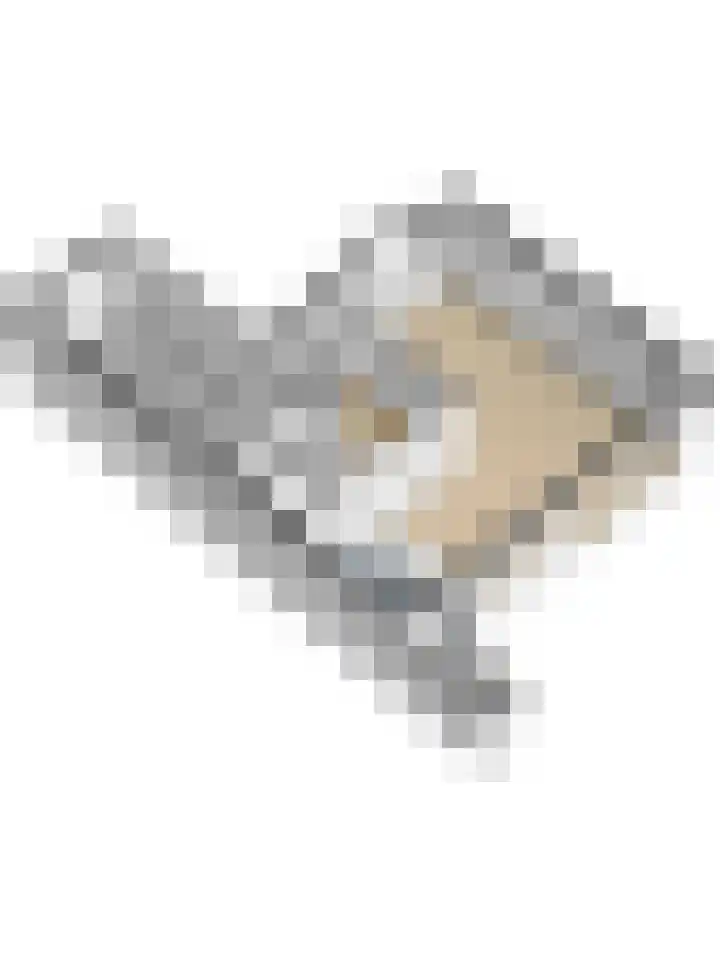 Teilingen 16 Oosterhout thumbnail 41