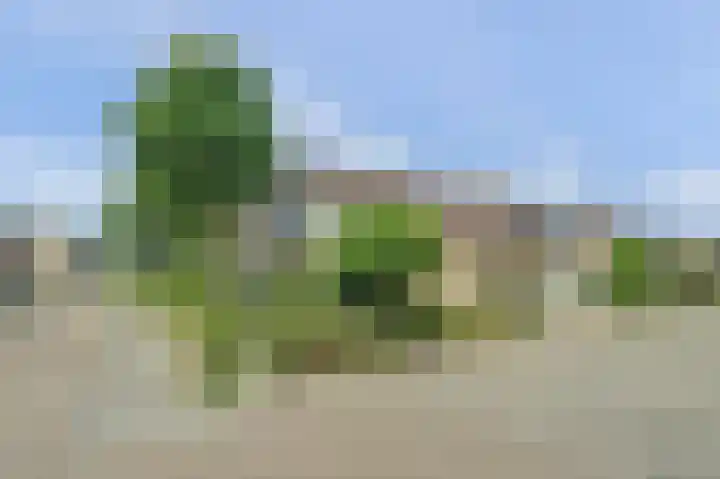 Teilingen 16 Oosterhout thumbnail 7