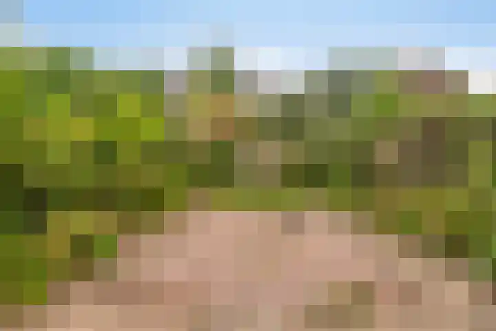 Teilingen 22 Oosterhout thumbnail 11