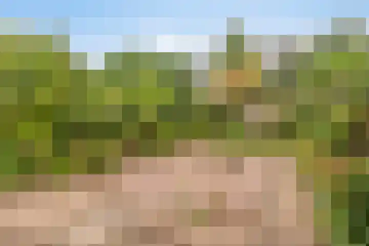 Teilingen 22 Oosterhout thumbnail 12