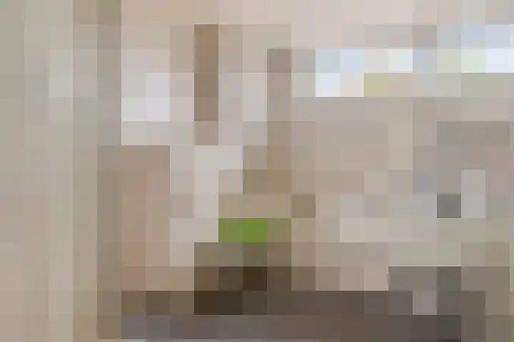 Teilingen 22 Oosterhout thumbnail 22