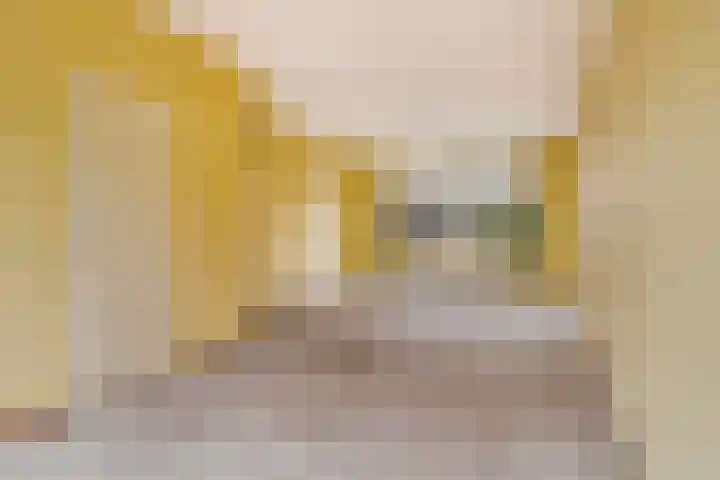 Teilingen 22 Oosterhout thumbnail 8