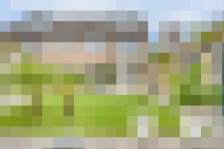 Teilingen 27 Zwijndrecht thumbnail 33