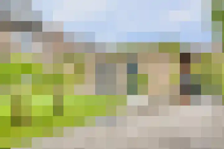 Teilingen 27 Zwijndrecht thumbnail 35