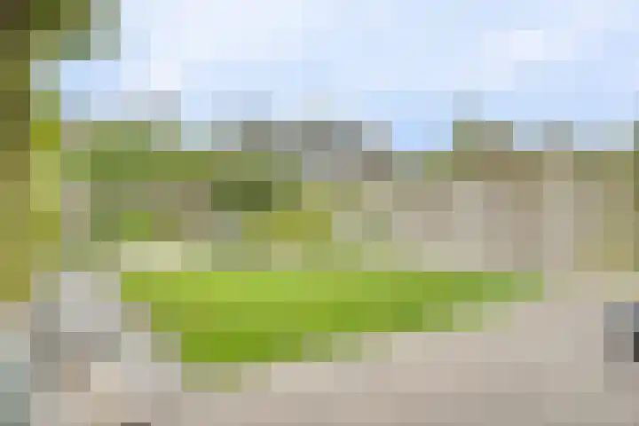 Teilingen 27 Zwijndrecht thumbnail 37