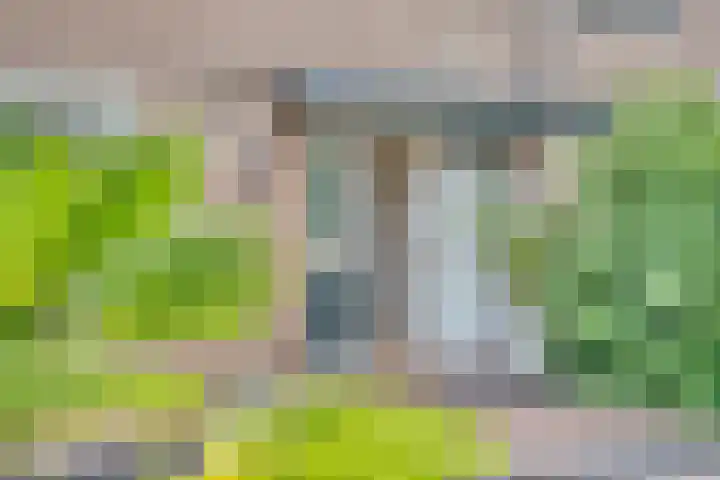 Teilingen 27 Zwijndrecht thumbnail 7
