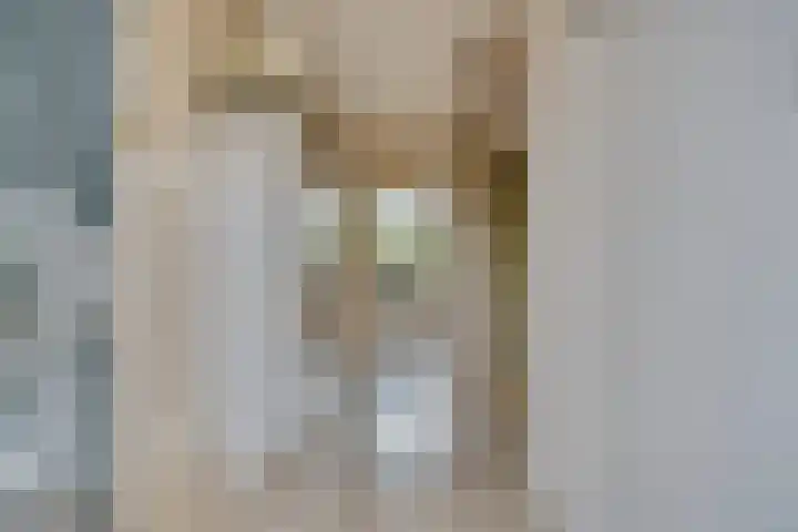 Teilingen 27 Zwijndrecht thumbnail 8