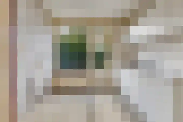 Teilingen 34 Oosterhout thumbnail 11