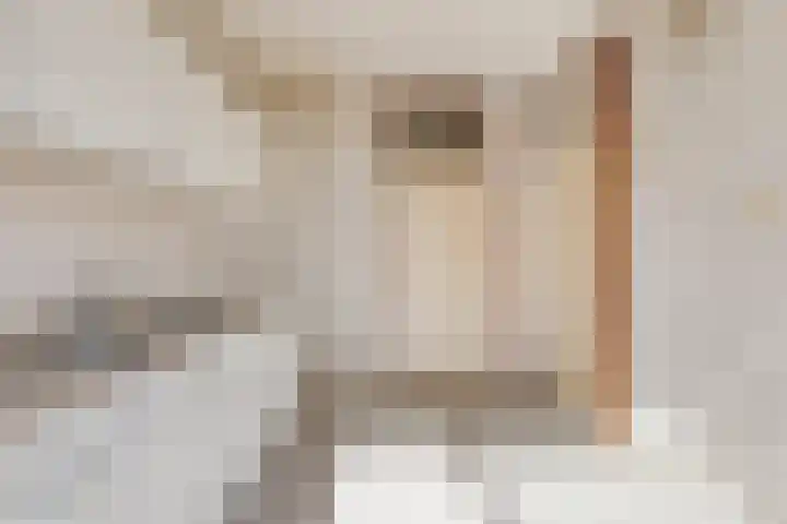 Teilingen 34 Oosterhout thumbnail 12