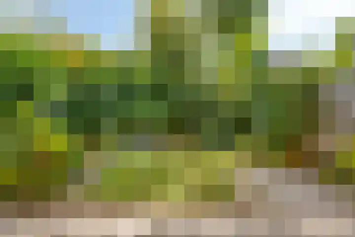 Teilingen 34 Oosterhout thumbnail 15