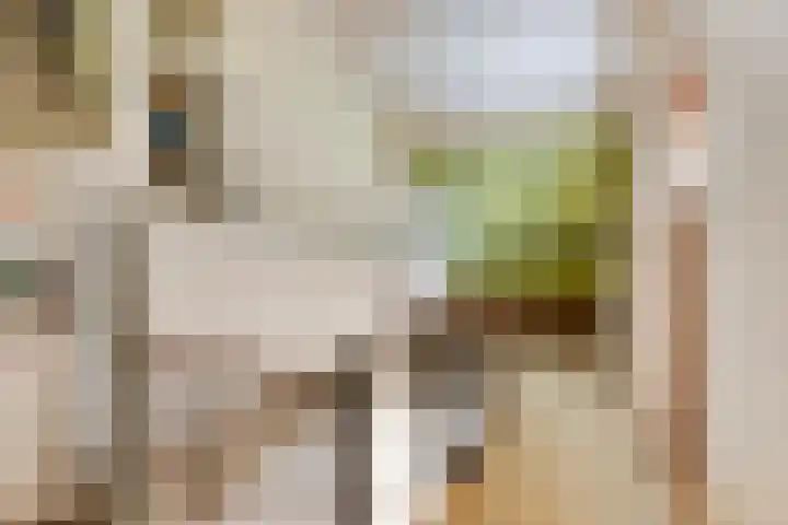 Teilingen 34 Oosterhout thumbnail 26