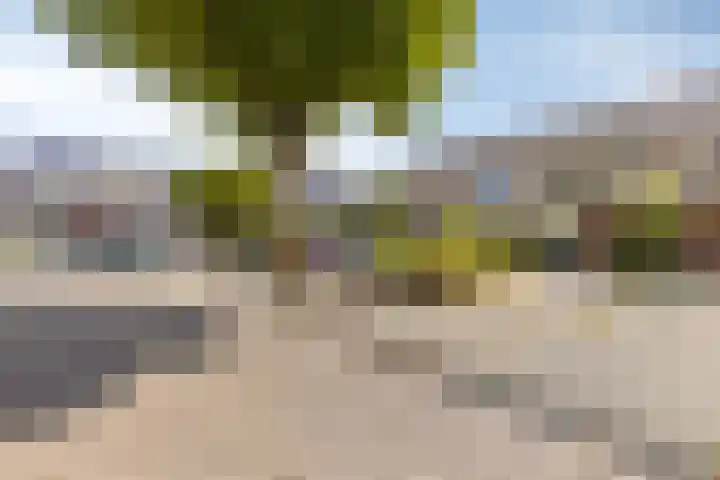 Teilingen 34 Oosterhout thumbnail 32