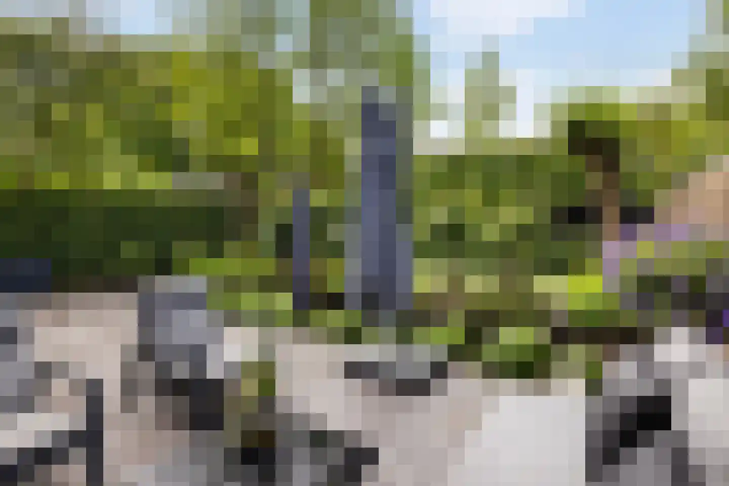 Teilingen 40 Zwijndrecht thumbnail 20