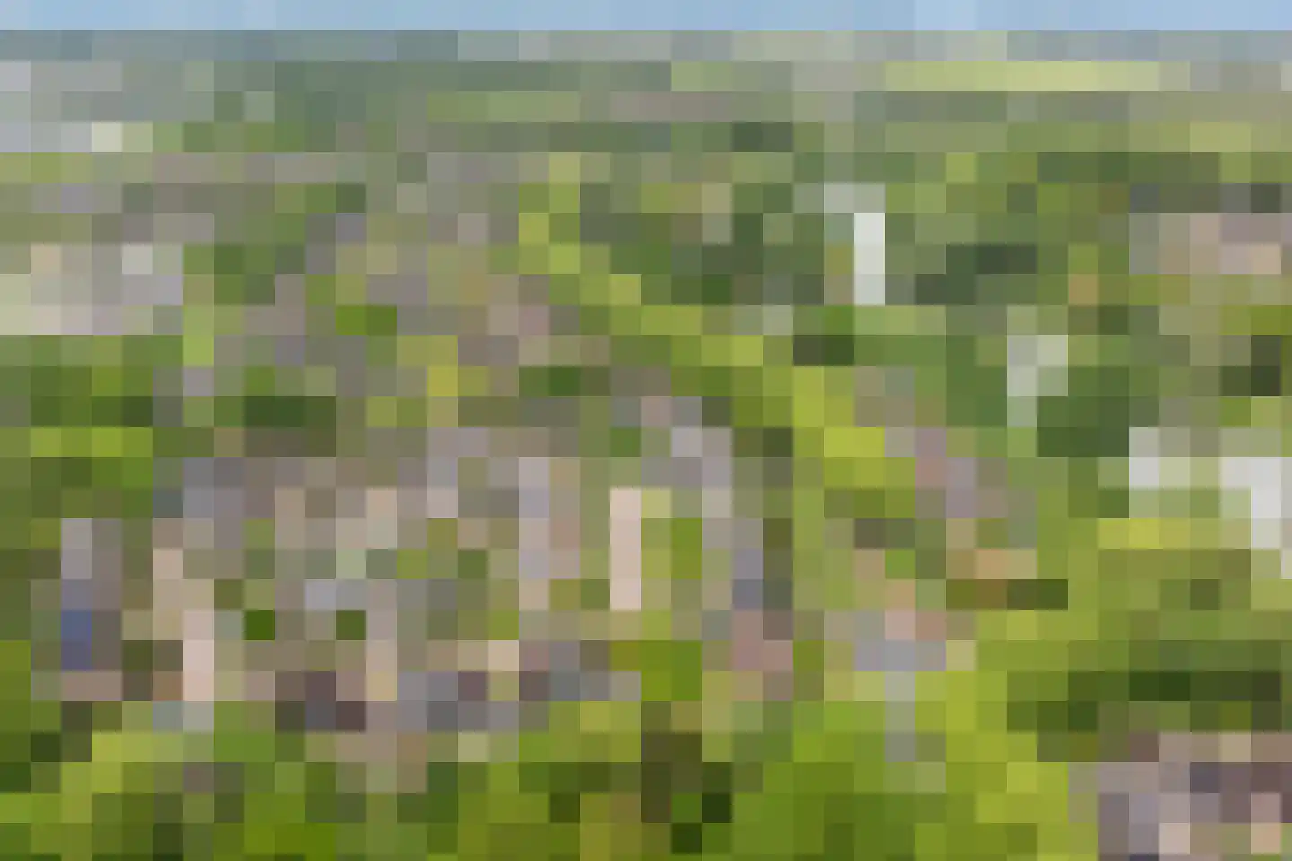 Teilingen 40 Zwijndrecht thumbnail 47