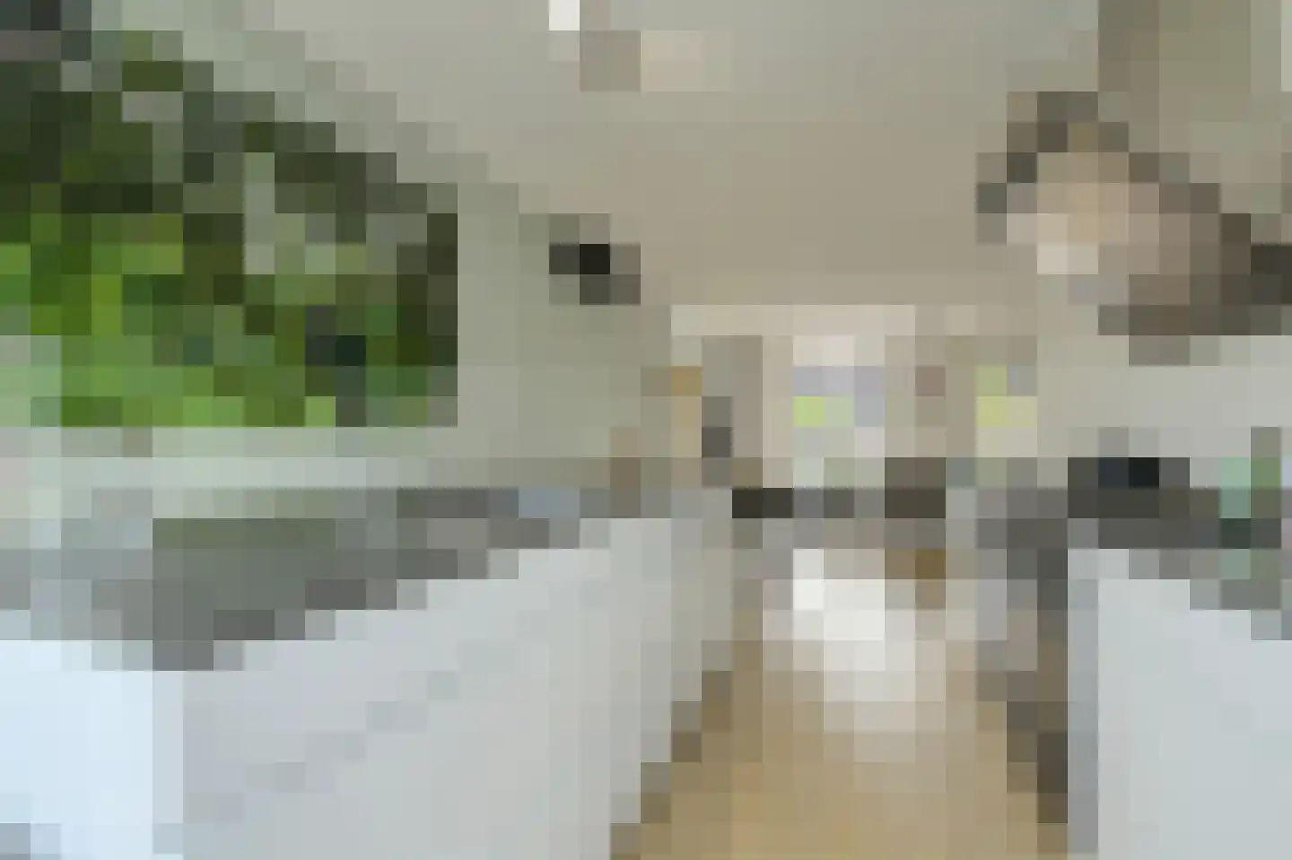 Teilingen 58 Oosterhout thumbnail 10